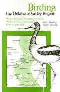 Birding the Delaware Valley Region