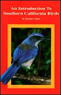 An introduction to southern California birds