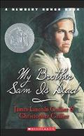 My Brother Sam Is Dead Chapter Pictures