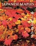 Japanese Maples Momiji & Kaede Momiji Cover