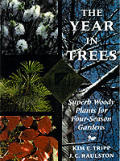 Year in Trees