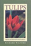 Tulips: Species and Hybrids for the Gardener