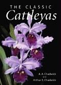 The Classic Cattleyas