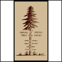 Manual of Oregon Trees & Shrubs 7TH Edition