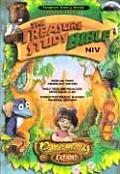 Treasure Study Bible