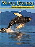 Whales & Dolphins - Shorelines of America: The Story Behind the Scenery