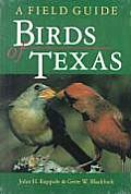 W. L. Moody, Jr., Natural History #0014: Birds of Texas