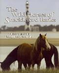 The Wild Horses of Shackleford Banks