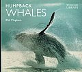 Humpback Whales (Worldlife Library)