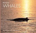 Minke Whales (Worldlife Library)