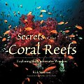 Secrets of the Coral Reefs: Exploring the Underwater Wonders Cover
