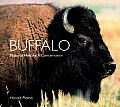 Buffalo: Natural History & Conservation (Worldlife Library)