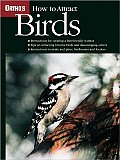 How to Attract Birds