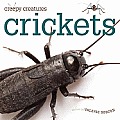 Crickets (Creepy Creatures (Creative Education Paperback)_)