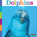 Seedlings: Dolphins (Seedlings)