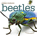 Beetles (Creepy Creatures)