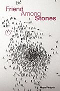 Friend Among Stones (Many Voices Project) Cover