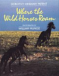 Where the Wild Horses Roam