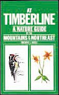 At Timberline