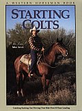 Starting Colts