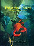 Amber Forest: Beauty and Biology of California's Submarine Forests