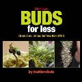 Marijuana Buds for Less: Grow 8 Oz. of Bud for Less Than $100