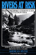 Rivers at Risk: The Concerned Citizen's Guide to Hydropower Cover