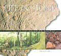 Life in Stone: Fossils of the Colorado Plateau