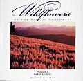 Wildflowers of the Pacific Northwest