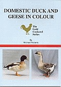 Domestic Duck and Geese in Colour Cover
