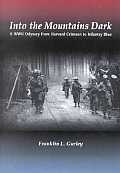 Into the Mountains Dark Cover
