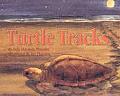 Turtle Tracks