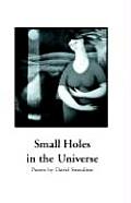 Small Holes in the Universe Cover