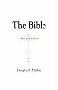 The Bible - What Does It Mean? When If Not Now? Cover