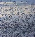 The Flight Deck: Digital Rhythms of Our National Wildlife Refuges