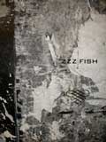 Sleepingfish ZZZ