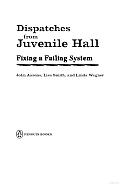 Dispatches from Juvenile Hall: Fixing a failing System
