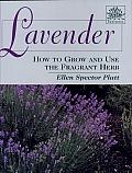 Lavender: How to Grow and Use the Fragrant Herb