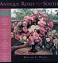 Antique Roses for the South