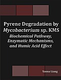 Pyrene Degradation by Mycobacterium Sp. KMS: Biochemical Pathway, Enzymatic Mechanisms, and Humic Acid Effect