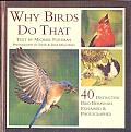 Why Birds Do That: 40 Distinctive Bird Behaviors Explained & Photographed