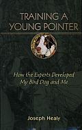 Training a Young Pointer: How the Experts Developed My Bird Dog and Me
