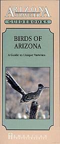 Birds of Arizona: A Guide to Unique Varieties