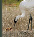 Whooping Crane: Images from the Wild