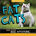 2012 Fat Cats Wall Calendar: Big Cats. Big Attitude.