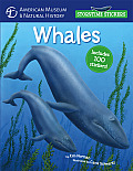 Storytime Stickers: Whales (Storytime Stickers)