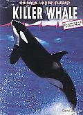 Killer Whale (Animals Under Threat)