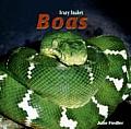 Boas (Scary Snakes)