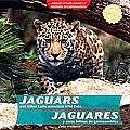 Jaguars and Other Latin American Wild Cats = Jaguars and Other Latin American Wild Cats/ Jaguares y Otros Felinos de Latinoam'rica: Jaguares y Otros F (Animals of Latin America/Animales de Latinoam'ri