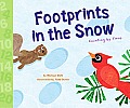Footprints in the Snow: Counting by Twos Cover